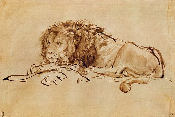 Lion Resting (pen and ink on paper)