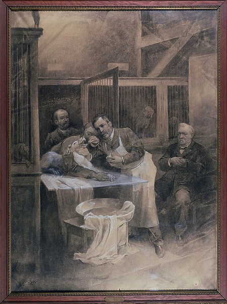 Louis Pasteur (1822-95) taking a sample of foam from a rabid dog (charcoal)