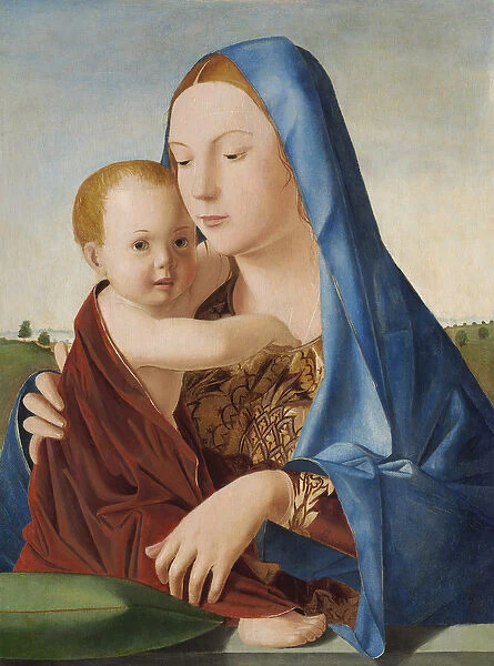 Madonna and Child, c. 1475 (oil and tempera on panel transferred from panel)