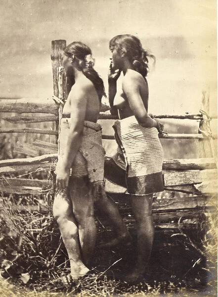 Maori Study, c. 1870 (albumen print)