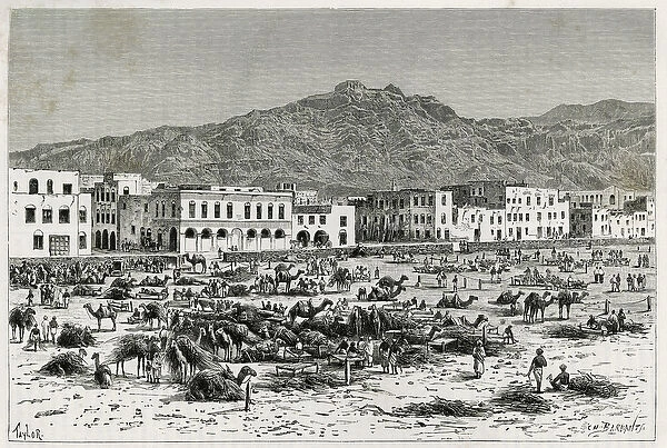 The march of Aden (Yemen). Taylors engraving, to illustrate the story '