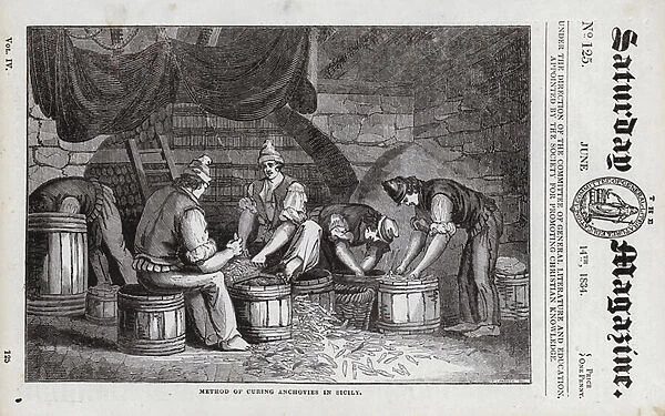Method of curing anchovies in Sicily, Italy (engraving)