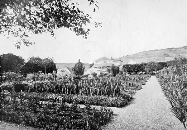 Monets Garden, Giverny, c. 1908 (b  /  w photo)
