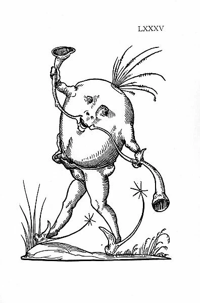 Monster, 19th century (engraving)