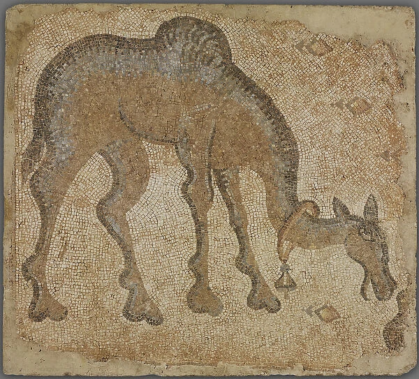 Mosaic fragment with grazing camel (stone in mortar)