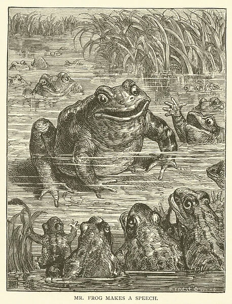 Mr frog makes a speech (engraving)