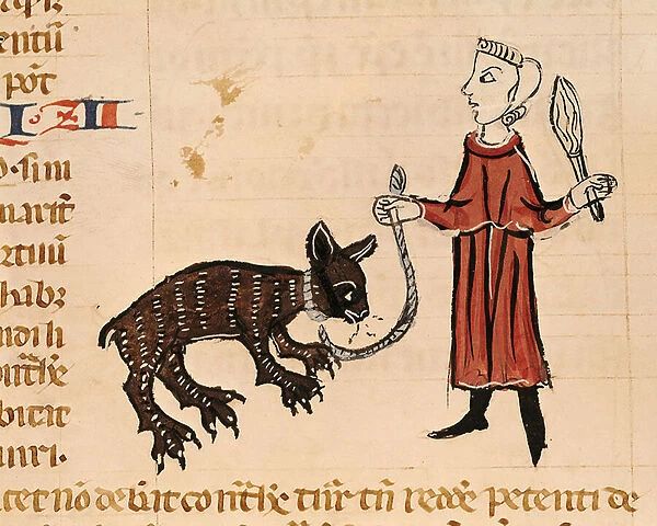Ms 372 fol. 241v A Bear Keeper, from Decrets de Gratien (vellum)