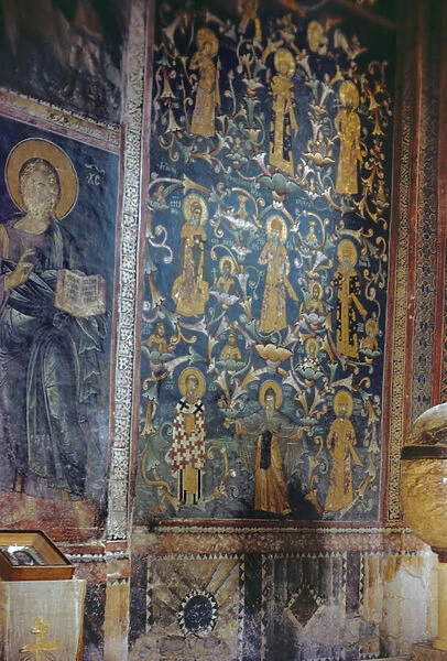 Nemanjic Family Tree, 1335-48 (fresco)