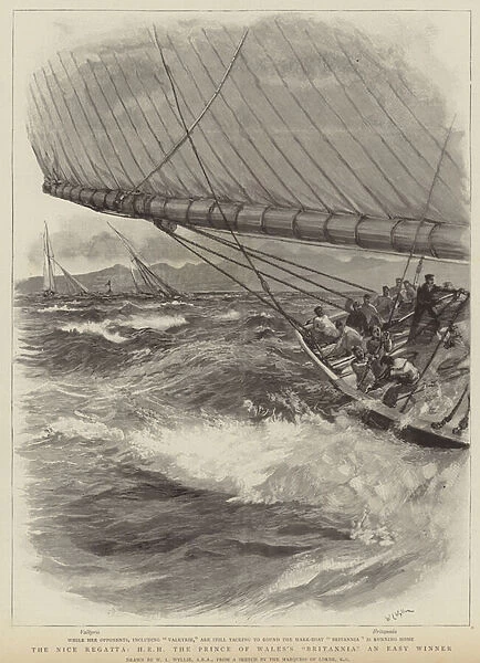 The Nice regatta, HRH The Prince of Waless Britannia and easy winner (engraving)