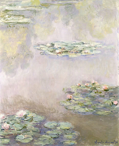 Nympheas, 1908 (oil on canvas)