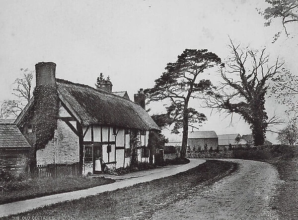 Old Cottages, Bilton (b / w photo)