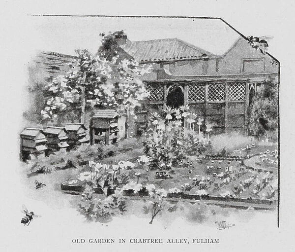 Old Garden in Crabtree Alley, Fulham (litho)
