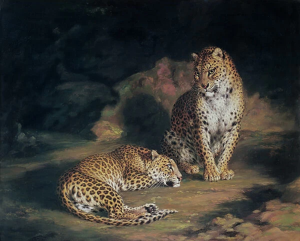 A Pair of Leopards, 1845 (oil on canvas)