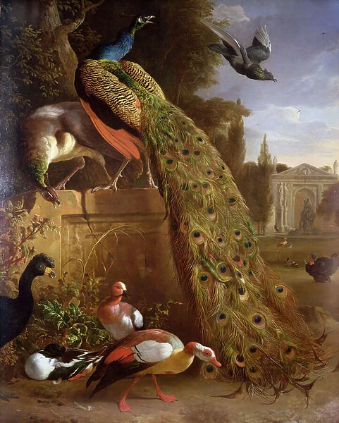 Peacock and a Peahen on a Plinth, with Ducks and Other Birds in a Park