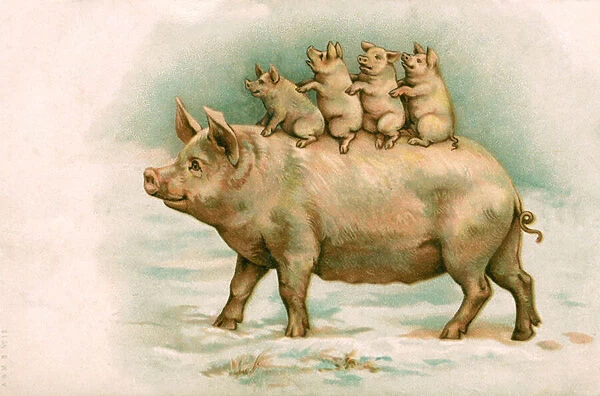 Four Piglets Riding on Their Mothers Back, 1898 (chromolithograph)