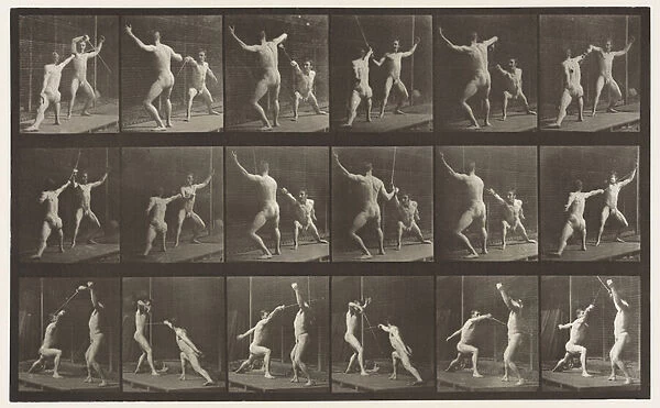 Plate 350. Fencing, 1872-85 (collotype on paper)