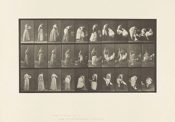 Plate 497. Miscellaneous Phases of the Toilet, 1885 (collotype on paper)