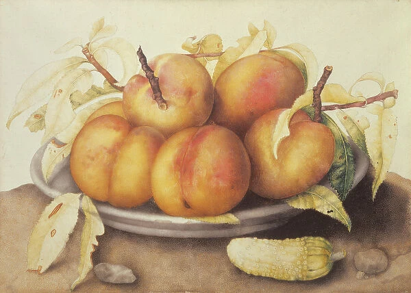 Plate of Peaches with a Pickle