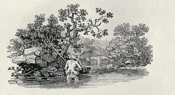 Playing a Salmon from History of British Birds and Quadrupeds (engraving)