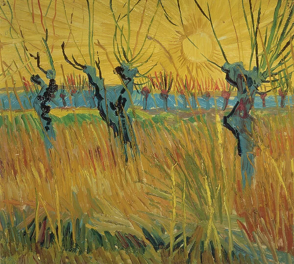 Pollarded Willows and Setting Sun, 1888 (oil on card)