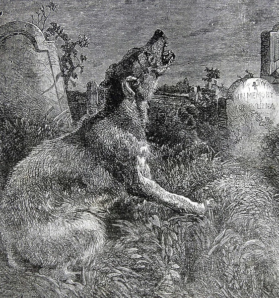 A 'poor man's grave', 1860 (engraving)