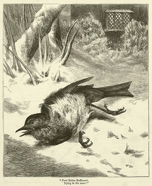 'Poor Robin Redbreast, Dying in the snow!'(engraving)