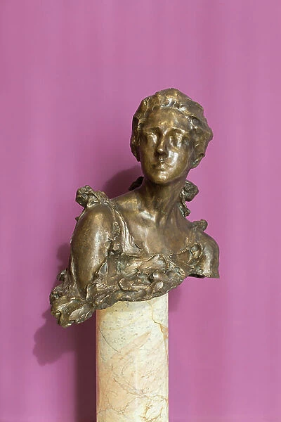 Portrait of Amelie Louis Rives, 1895 (bronze)