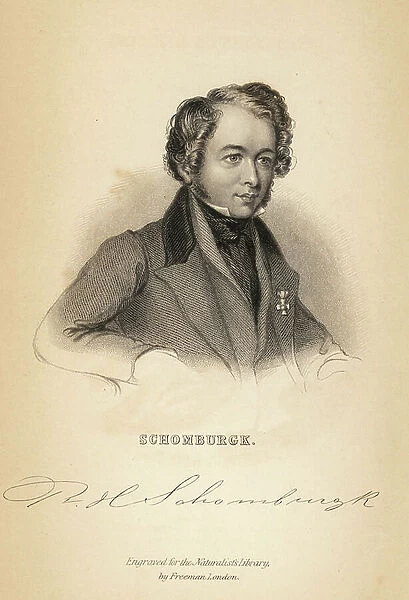 Portrait of Robert Schomburgk (1804-1865), Victorian ichthyologist, zoologist and diplomat. Steel engraving by Freeman from Robert Schomburg's Fishes of Guiana, part of Sir William Jardine's Naturalist's Library: Ichthyology, Edinburgh, 1841