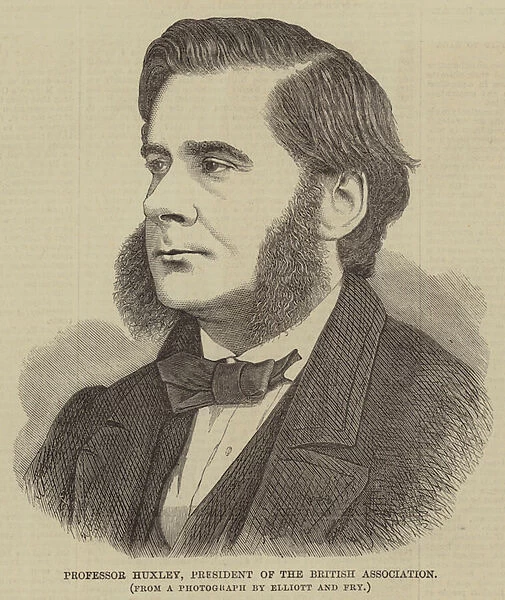 Professor Huxley, President of the British Association (engraving)