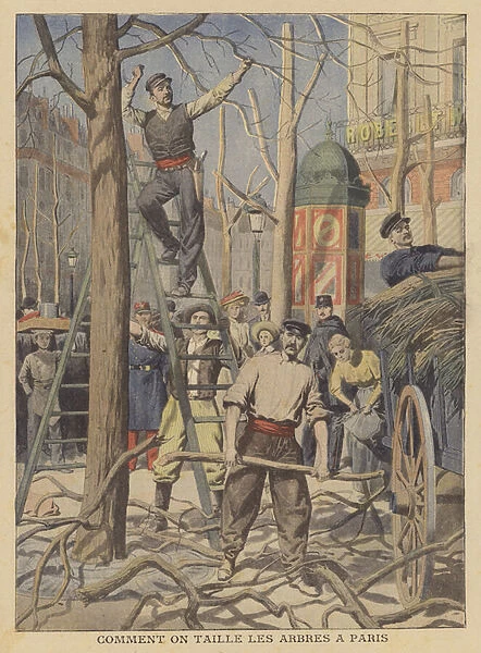 Pruning trees on the streets of Paris (colour litho)