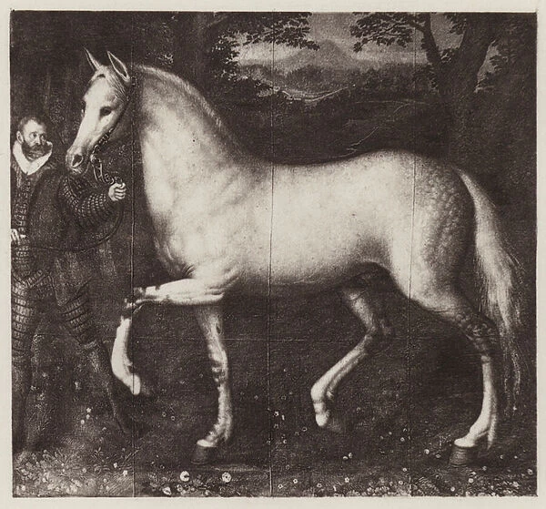 Queen Elizabeths Horse (litho)