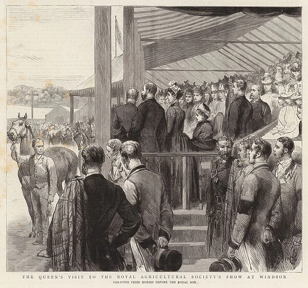 The Queens Visit to the Royal Agricultural Societys Show at Windsor (engraving)