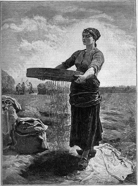 Rapeseed Screener: from the painting of Jules Breton. In 'The Family'of 1888