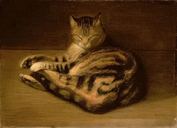 Recumbent Cat, 1898