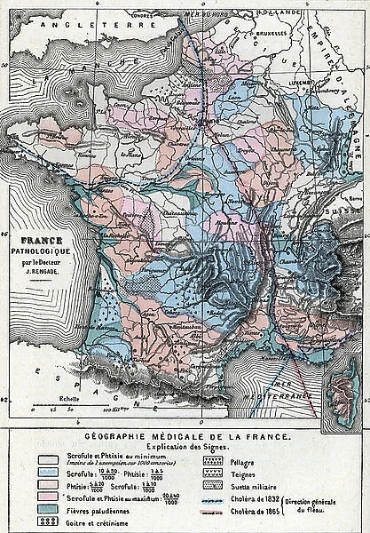 Representation of a geographic map of France at the end of the 19th century with areas corresponding to diseases (scrofule, phtisia, malaria, goiter and cretinism, pellagre, moth)