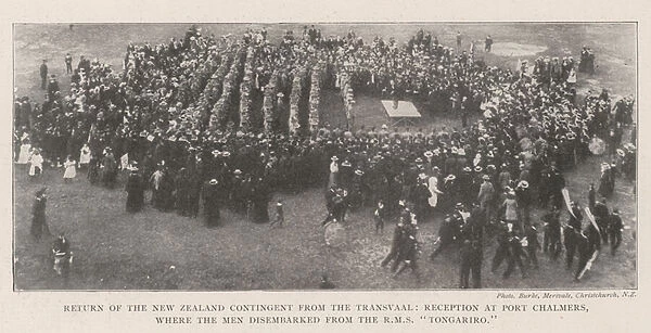 Return of the New Zealand Contingent from the Transvaal, Reception at Port Chalmers, where the Men disembarked from the RMS 'Tongariro'(b  /  w photo)