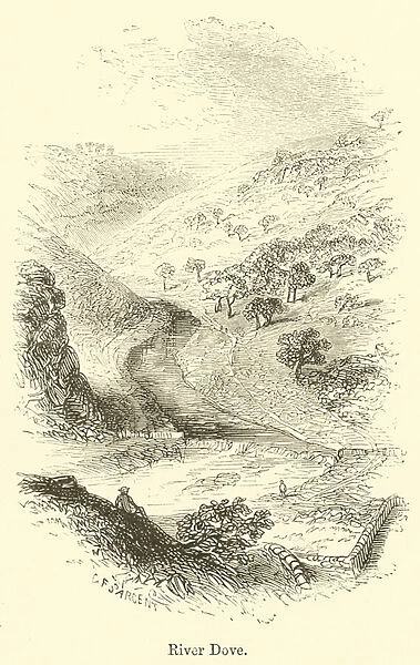 River Dove (engraving)