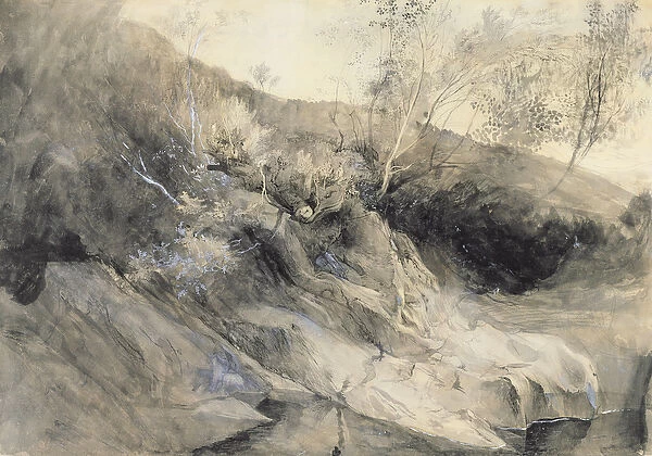 The Rocky Bank of a River - Verso: sketch of foliage, c