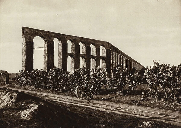Roman aqueduct near Bardo, Tunis (b  /  w photo)