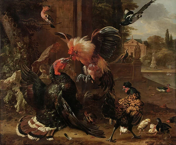 A Rooster and Turkey Fighting, c.1680 (oil on canvas)