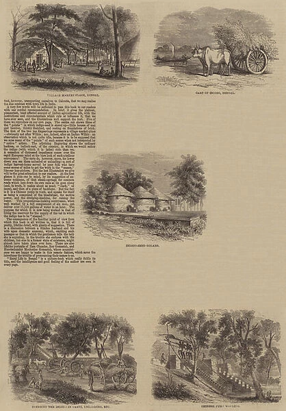 Rural Life in Bengal (engraving)