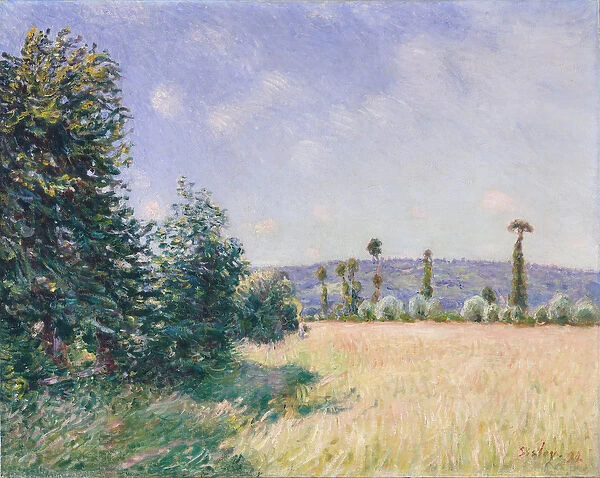 Sahurs Meadows in Morning Sun, 1894 (oil on canvas)