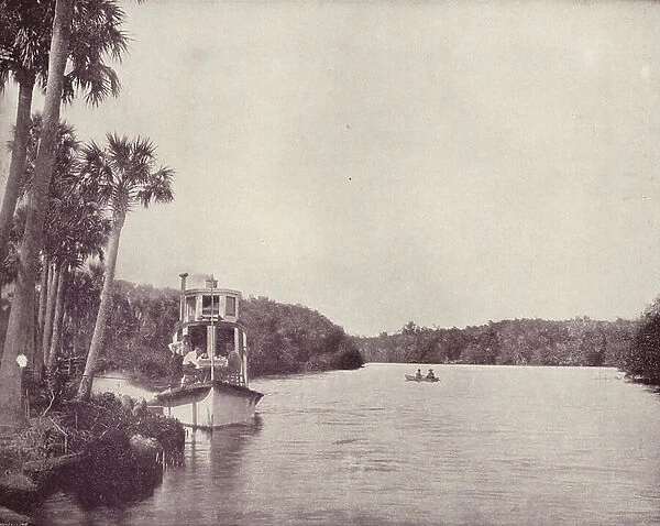 Scene on the Indian River, Florida (b / w photo)