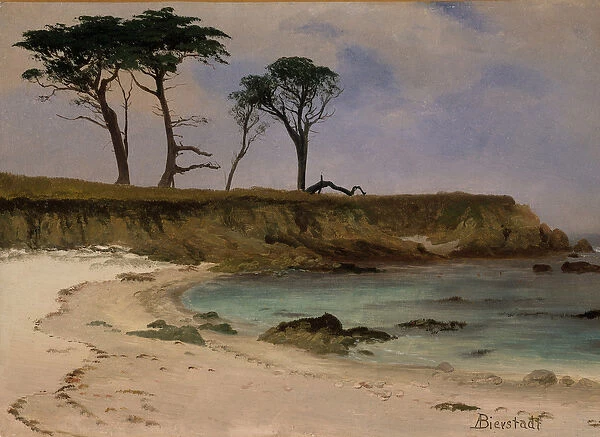 Sea Cove, c. 1880-90 (oil on wood)