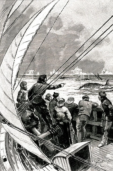 At sea towards the Pole: the crew of a ship (sailboat) sees a group of whales