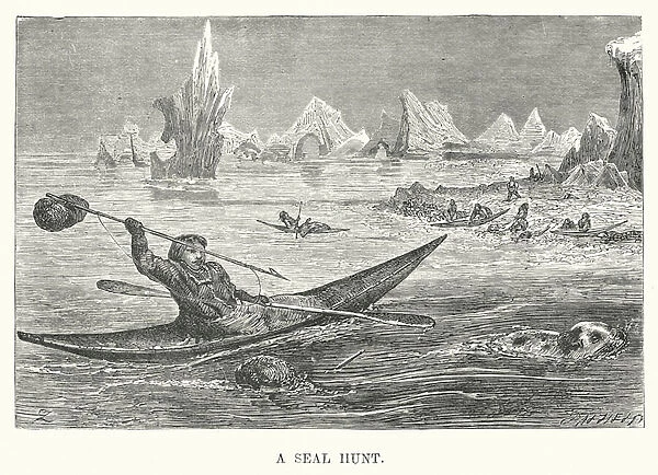 A seal hunt (engraving)