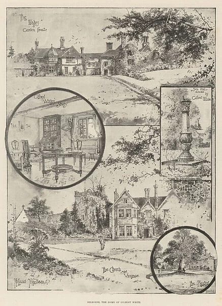 Selborne, the Home of Gilbert White (litho)
