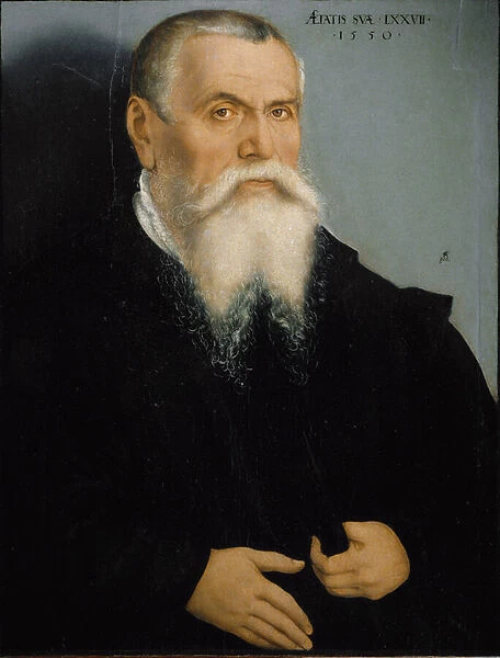 Self portrait, 1550 (oil on panel)