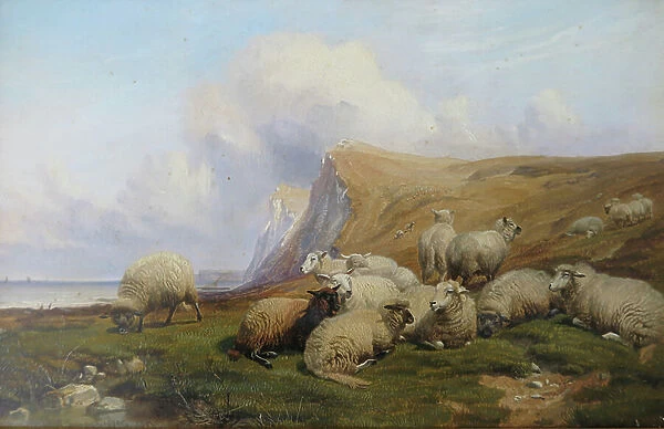 Shakespeare Cliff, Kent: Sheep on Coastal Pasture, 1869 (oil on panel)