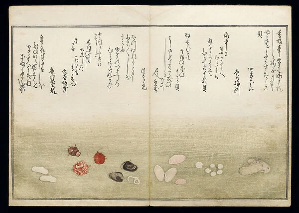 Shiohi no tsuto (Gifts from the Ebb Tide), known as the Shell Book